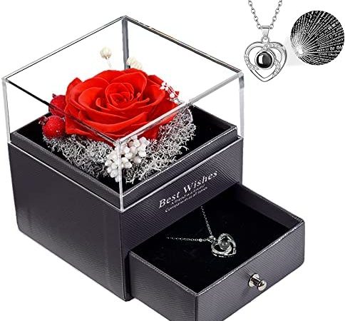 Roqueen Rosa Conservata Vera, Confezione Regalo con Collana, Fatto a Mano Eternal Rose Fiore Regalo per Lei Donna Moglie Fidanzata Madre il Compleanno Anniversario Festa Della Mamma Natale – idea regalo udinese