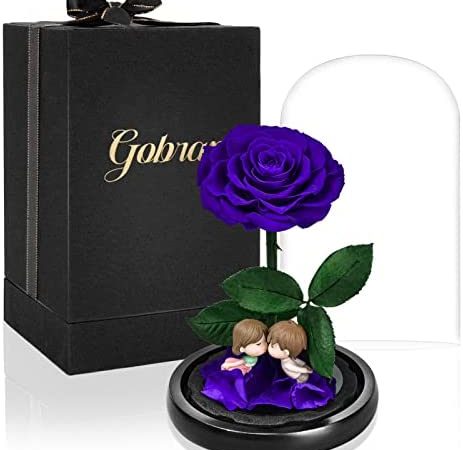 Rosa Eterna ‘La Bella e la Bestia’ Vera Rosa Magica Permanente in Cupola di Vetro su Base in Legno, Regalo per la Decorazione della casa Anniversario di Matrimonio Festa Della Mamma (Porpora) – idea regalo udinese