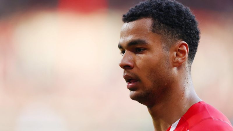 F. Romano pubblica: Il Manchester United sta discutendo internamente di Cody Gakpo, gli piacerebbe la mossa di PL – mentre…