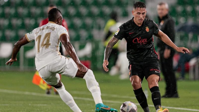 Riassunto e obiettivi di Elche