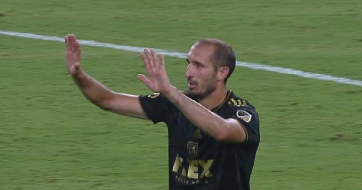 Da Twitter – #MLSCup | @LAFC, #Chiellini e #Bale vincono in finale contro il @PhilaUnion
…
