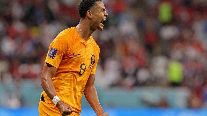 F. Romano pubblica:  Ci sono possibilità che Cody Gakpo lasci il PSV già a gennaio.  Piano originale…