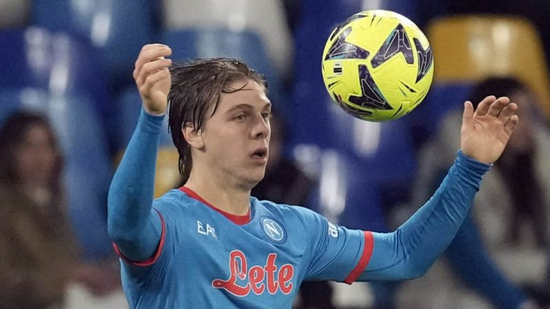 Chi è il Prossimo Colpo di Bologna: Pellistri o Zerbin?