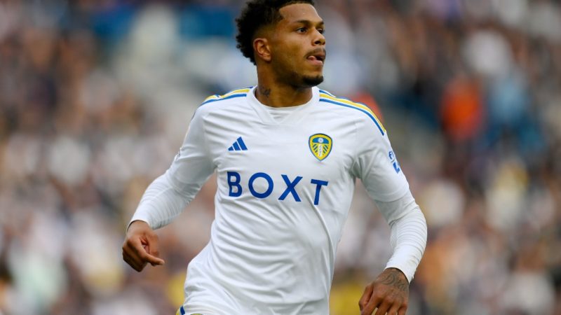 Notizie sulla squadra Southampton vs Leeds e dove guardarla
