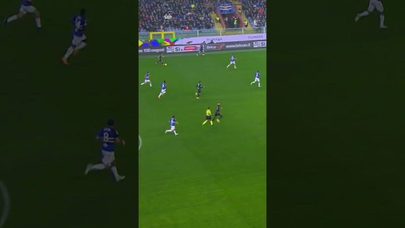 Osimhen 🇳🇬 raccoglie palla nella propria metà campo e segna dall’altra parte 😮 #shorts #seriea