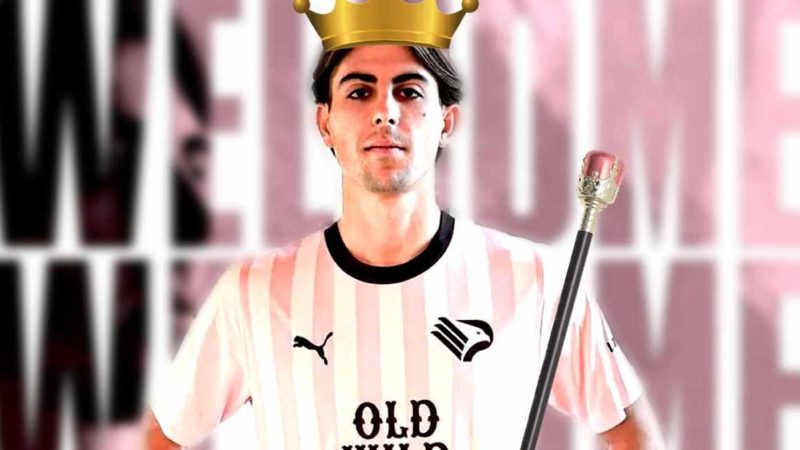 Palermo, Ranocchia Ã¨ super: quarto gol consecutivo|Serie A