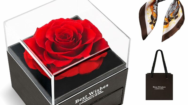 Rosa Eterna, Idea Regalo per lei,Rosa Stabilizzata Vera, Confezione Regalo per la Festa della Mamma, Rosa Conservata con Sciarpa di Seta,Compleanno, Anniversario, Regalo per Mamma, Fidanzata, Moglie – idea regalo romanista