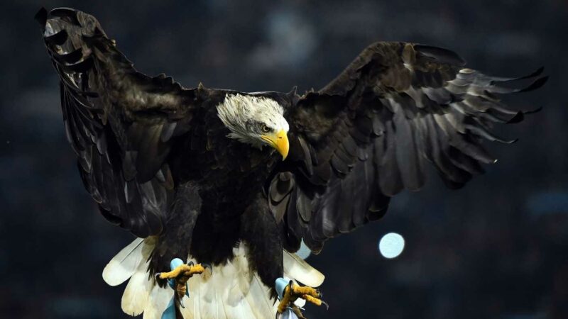 Stadio Flaminio, Gualtieri positivo verso il progetto Lazio: “Iter avviato, non ci opporremo a chi porta valore” | Serie A