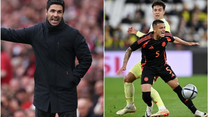 La squadra di reclutamento dell’Arsenal è entusiasta di un potenziale trasferimento di 50 milioni di sterline