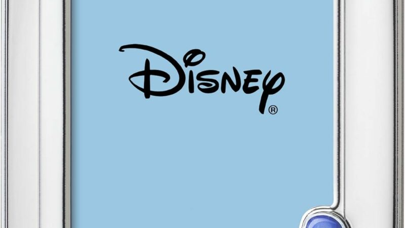 VALENTI & CO. D304-3LC Disney Baby – Paperino – Cornice Porta Foto in Argento con dettagli dipinti a Colori da Tavolo o Comodino per la Cameretta del Bambino perfetta come Idea Regalo Battesimo o Compleanno – idea regalo udinese