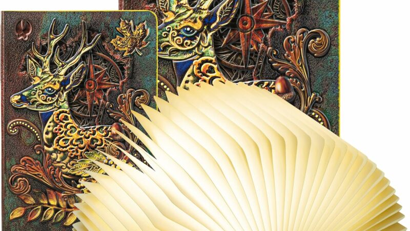 DEVASO Lampada Libro Led Pieghevole in 3 Colori Lampada Libro Decorazioni Casa, Camera e Ufficio | Idea Regalo Originale per Compleanno e Natale, Donna e Uomo (21 * 15 * 2.3cm) – idea regalo udinese