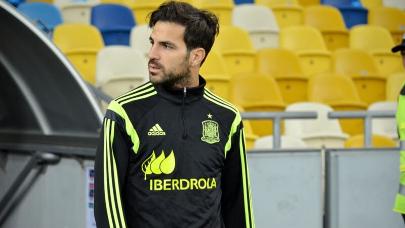 Fabregas pronto a diventare allenatore del Como