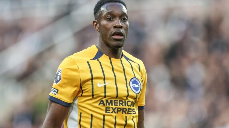 Brighton v Wolves: i gabbiani aspettano Welbeck