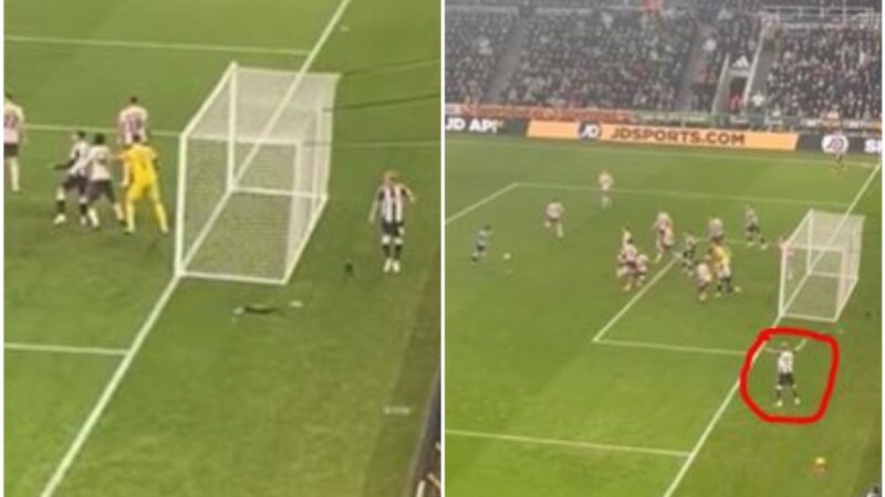 Anthony Gordon reagisce al quasi gol di Sandro Tonali