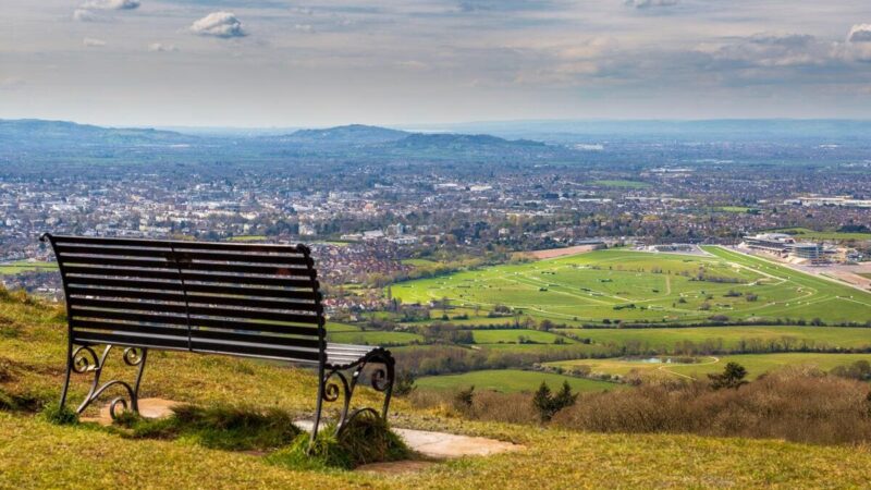 Cheltenham Festival 2025: tutto ciò che devi sapere