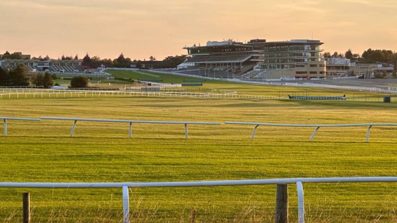 Gold Cup Glory per Inothewayurthinkin dopo aver vinto 100/1 Poniros a 2025 gare