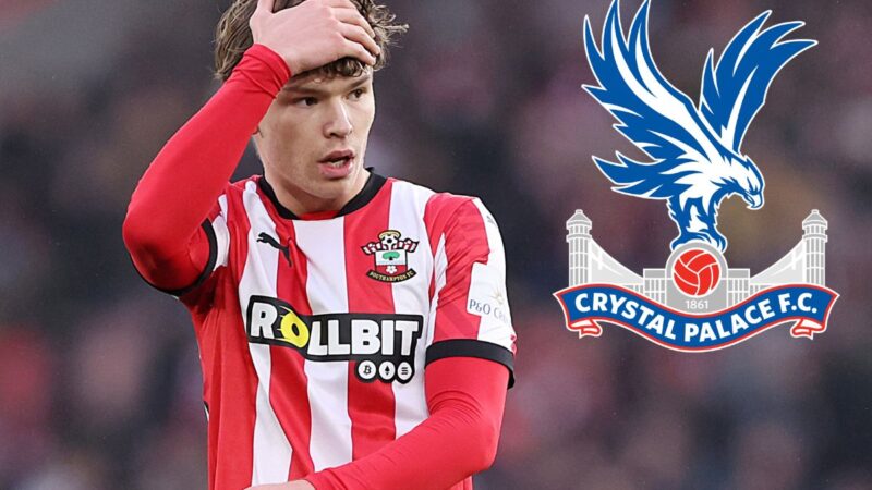 Rapporto: Crystal Palace Line Up Move per firmare £ 55 milioni di ala della Premier League