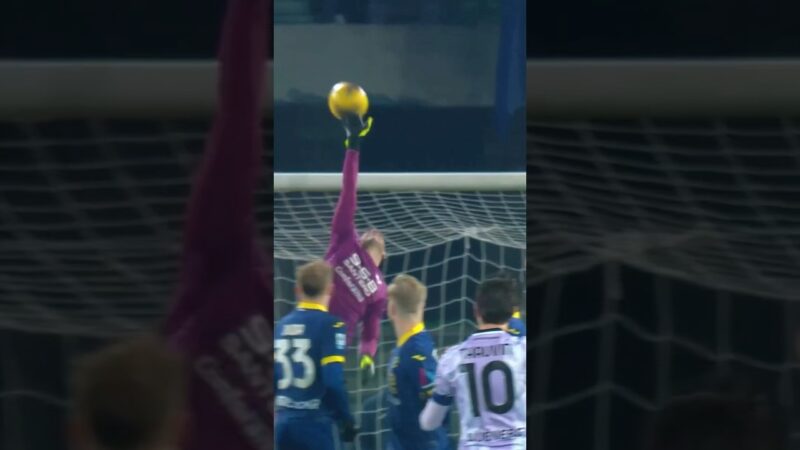 I salvataggi di Montipò 🆚 udinese