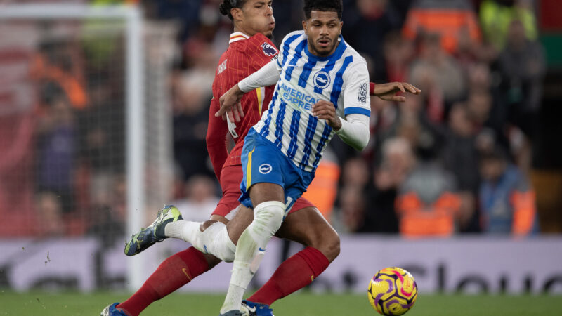 Come guardare Brighton vs Liverpool: live streaming, informazioni TV
