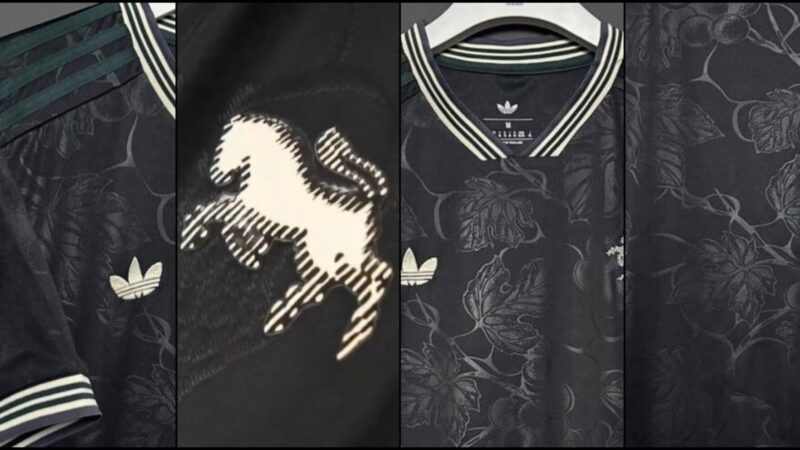 TS – a cosa si ispira e che ne pensano i tifosi