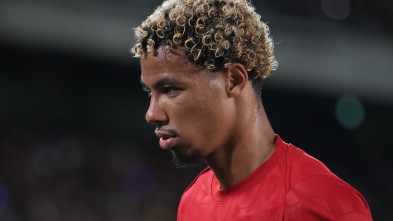 Guarda Newcastle vs Liverpool: live streaming, dettagli della TV