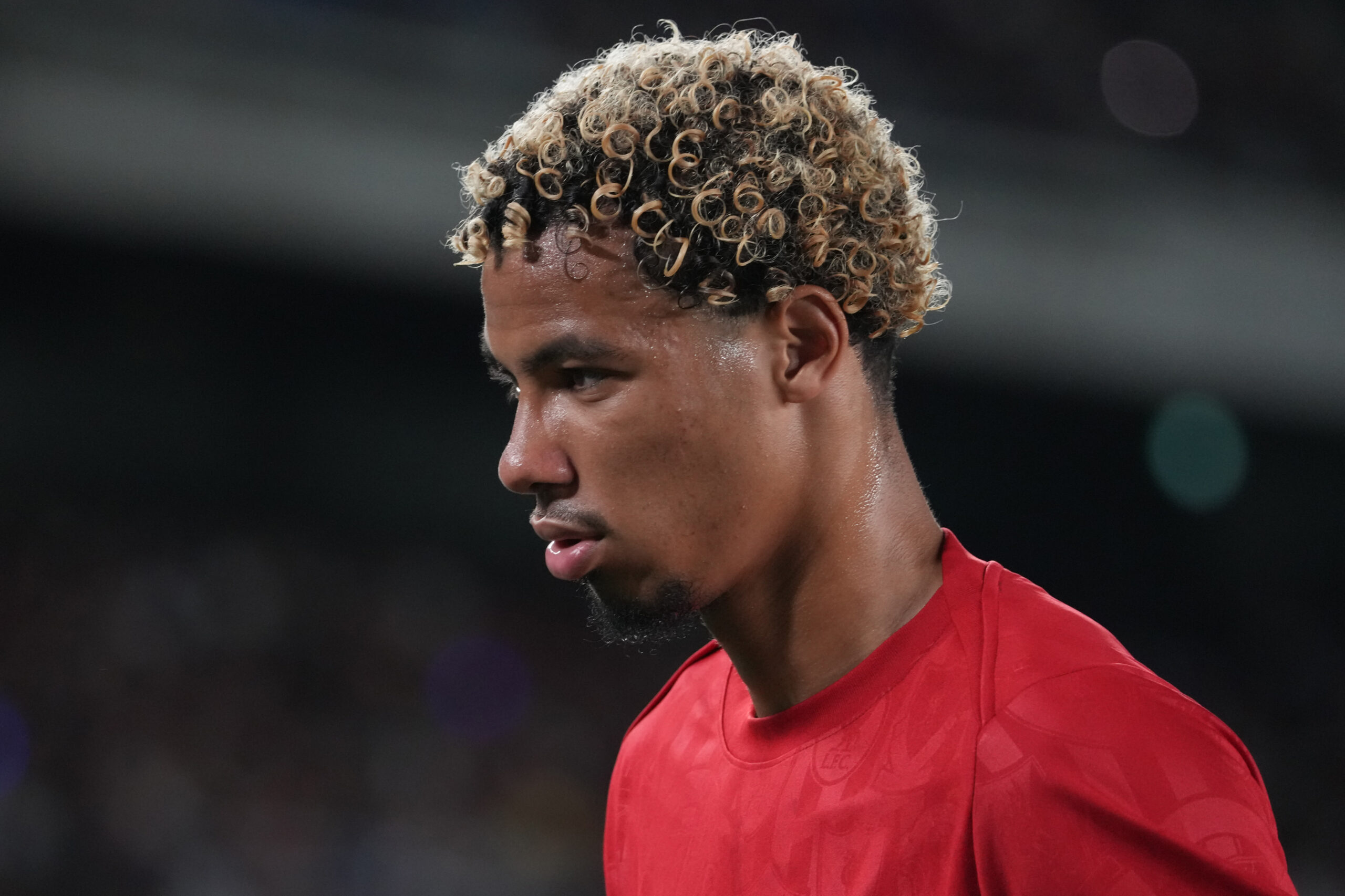 Guarda Newcastle vs Liverpool: live streaming, dettagli della TV