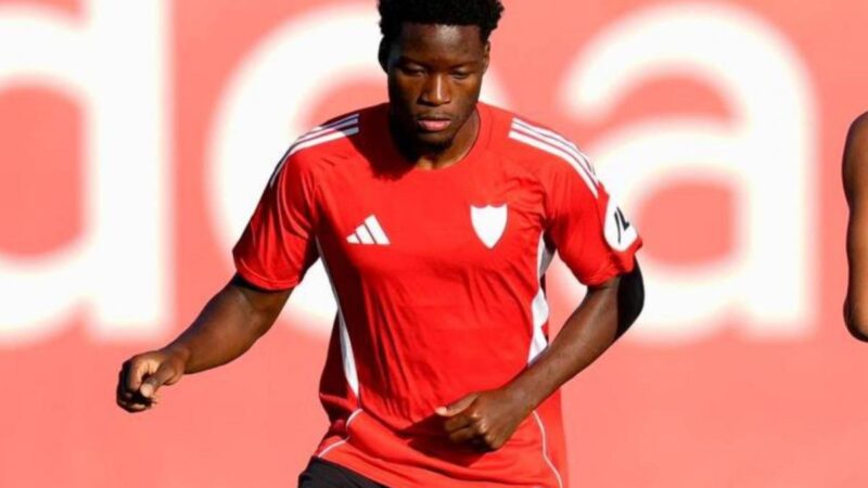 Impegno di Siviglia per l’angoumé