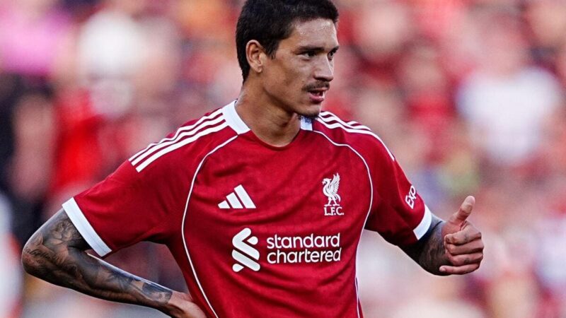Segno al-Hilal Darwin Nunez di Liverpool con un accordo da £ 46 milioni