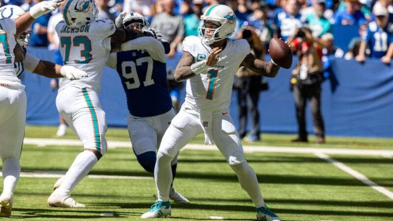 Gli errori in ritardo dei delfini portano alla perdita vs. Le bollette