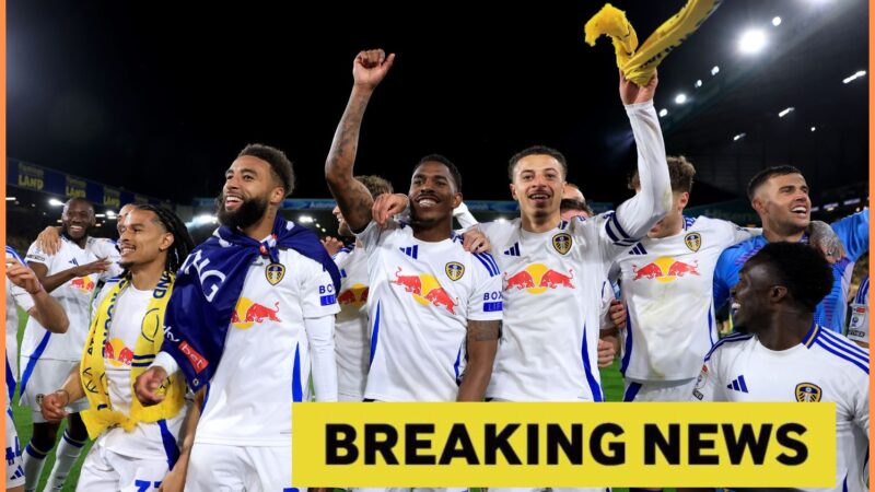 L’ex asso di Leeds Joe Rothwell potrebbe rimpiangere la mossa dei Rangers