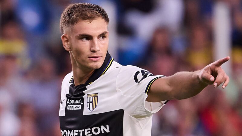 Parma-Torino: dove vederla, canale tv, diretta streaming, formazioni