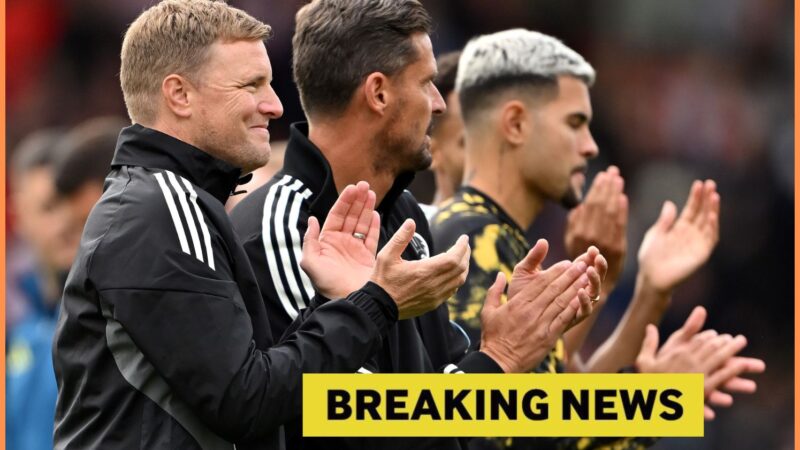 Tim Krul suggerisce il ritorno di Newcastle United