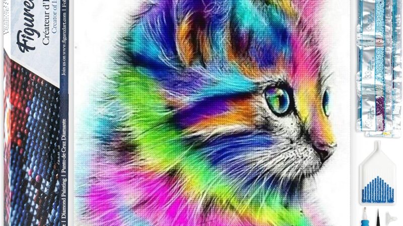 Figured’Art Diamond Painting Art 5D kit completo 40x50cm Tela Arrotolata Interamente da Ricoprire di Diamonds Quadrati – Gattino Colorato – Pittura Diamante – Attività Creativa per Adulti – idea regalo inter