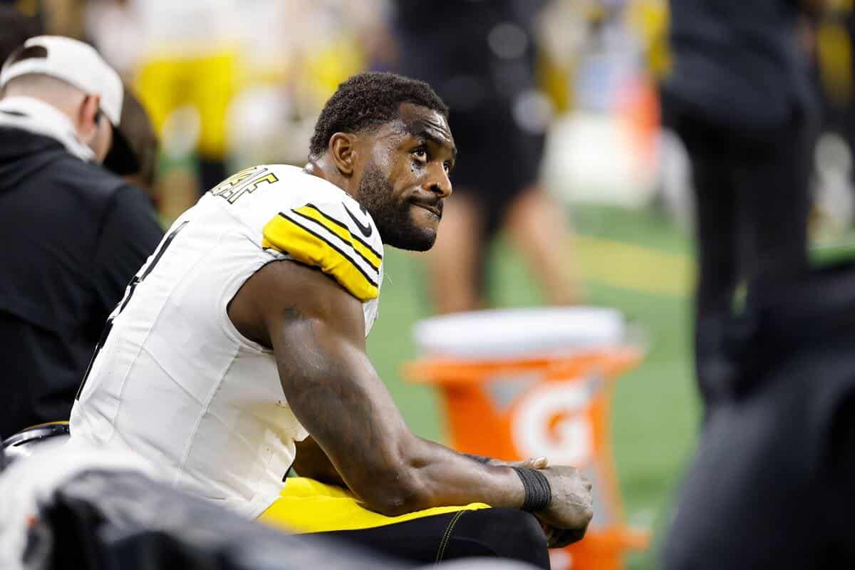 La NFL deciderà sull’alterco dei fan mentre i Pittsburgh Steelers WR si scagliano