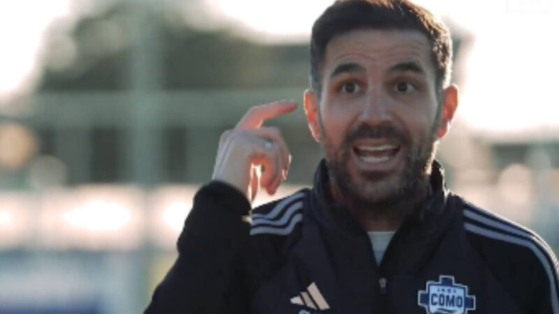 “Tutti premono come animali”