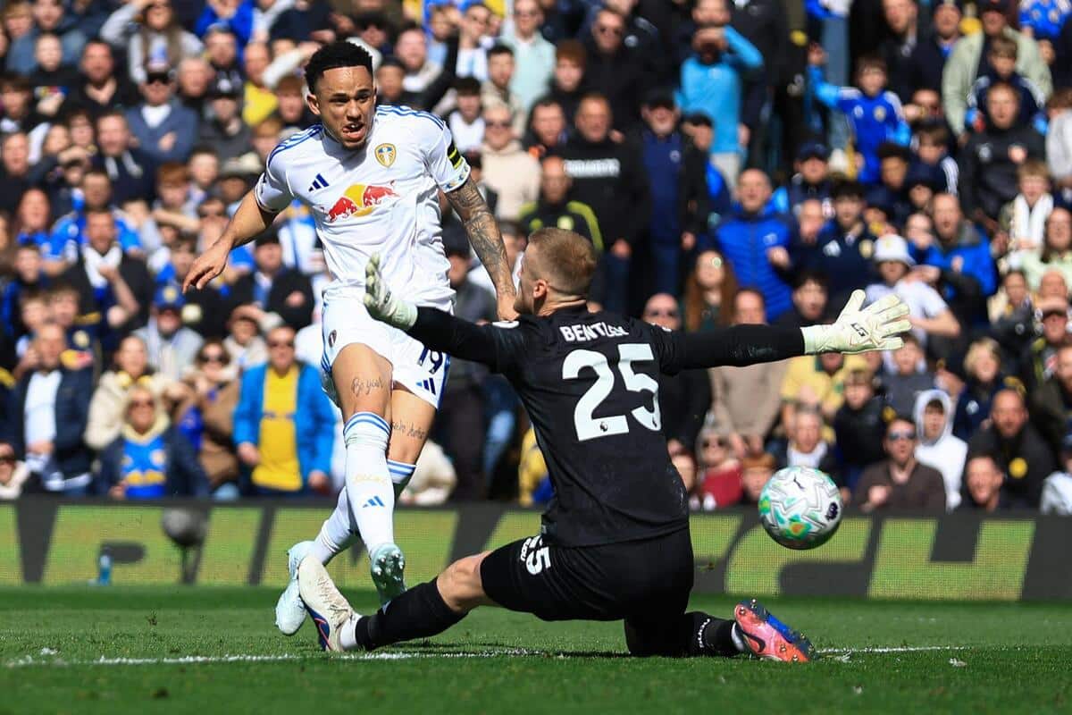 Premier League: i lupi sono vicini al calo dopo la sconfitta del Leeds mentre il Newcastle perde di nuovo