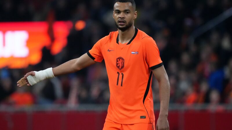 Come guardare GRATIS Olanda-Algeria: streaming in diretta per il riscaldamento della Coppa del Mondo