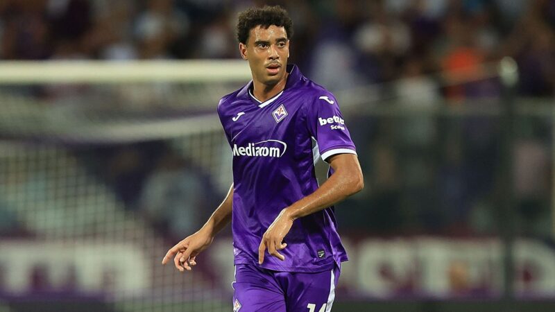 Fiorentina-Torino: una sfida per rilanciarsi in Serie A