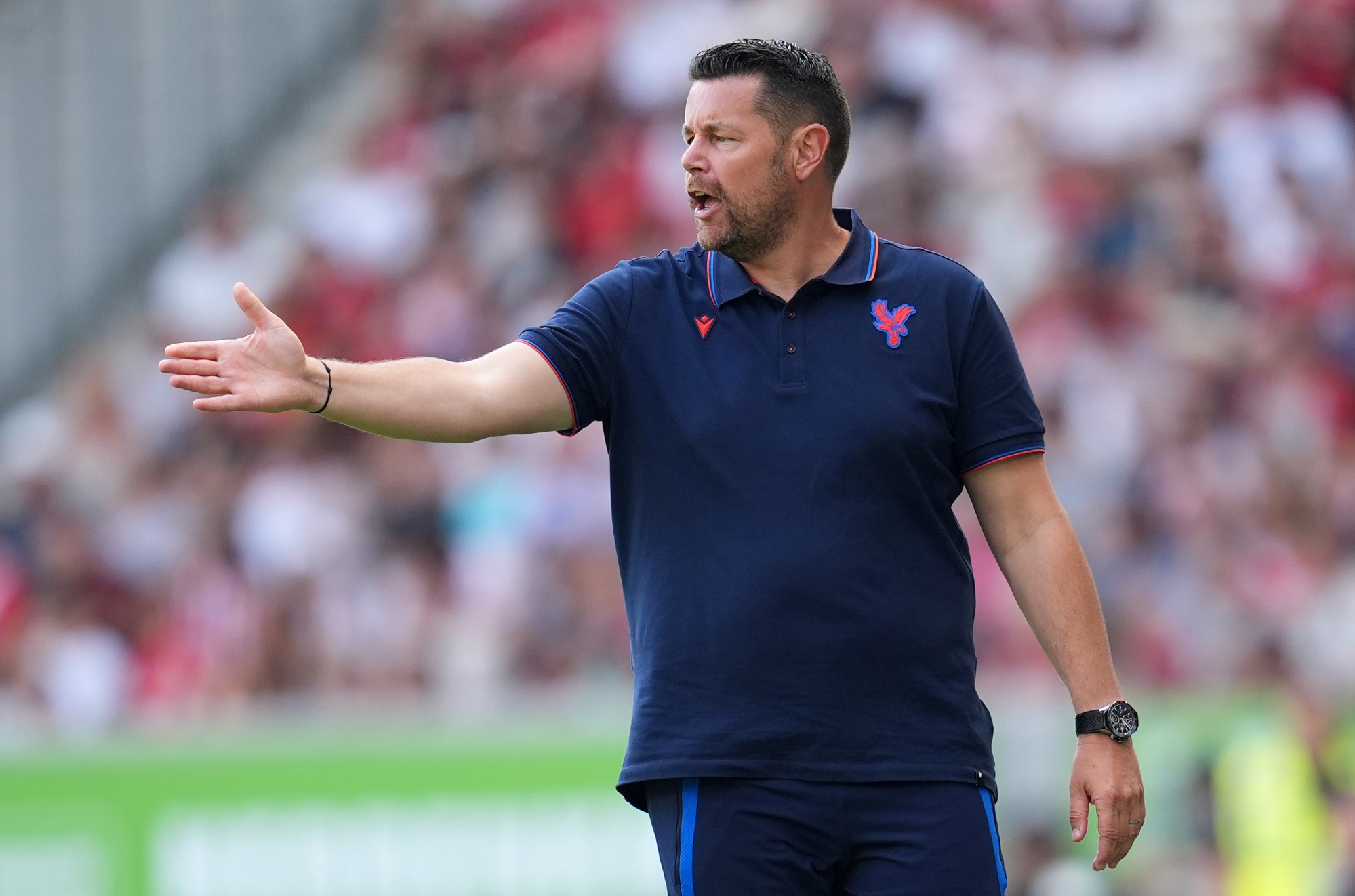 Il Crystal Palace ha esortato a ingaggiare un nuovo difensore per salvare il posto di Pierre Sage